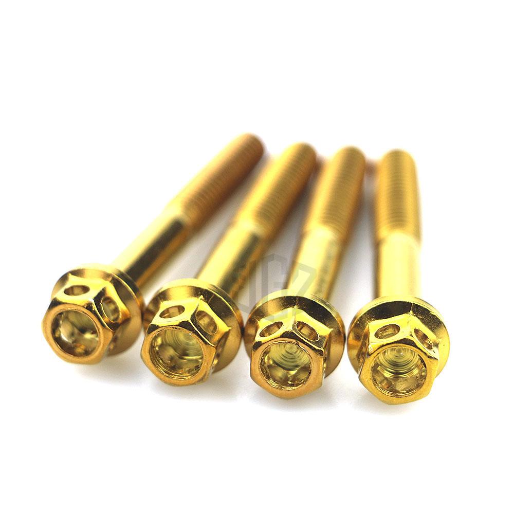Ốc Vít Bằng Thép Không Gỉ Chuyên Dụng Cho Xe Mô Tô Honda Rs150