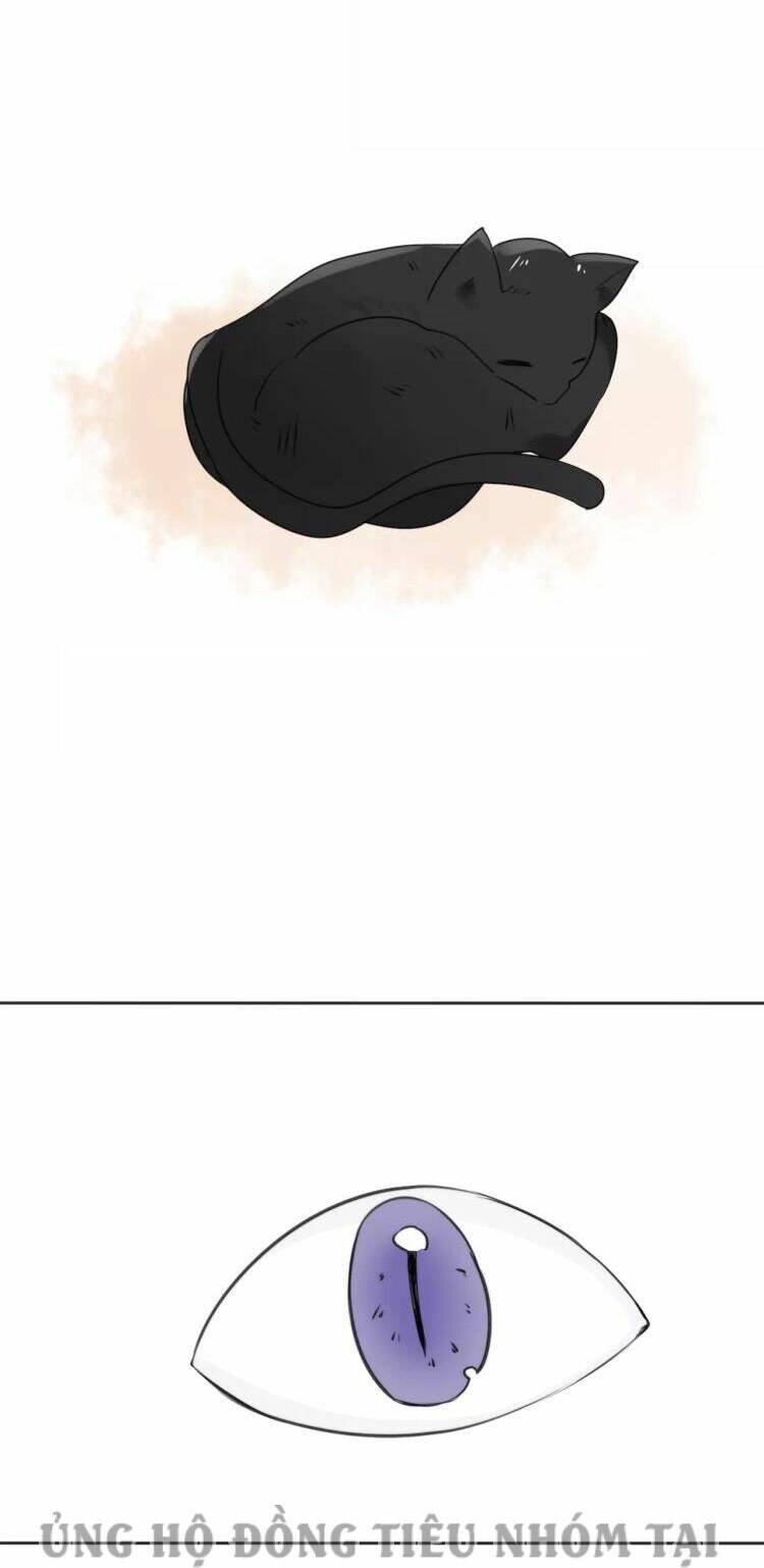 tiểu miêu và hắc diệu thạch chapter 27 2