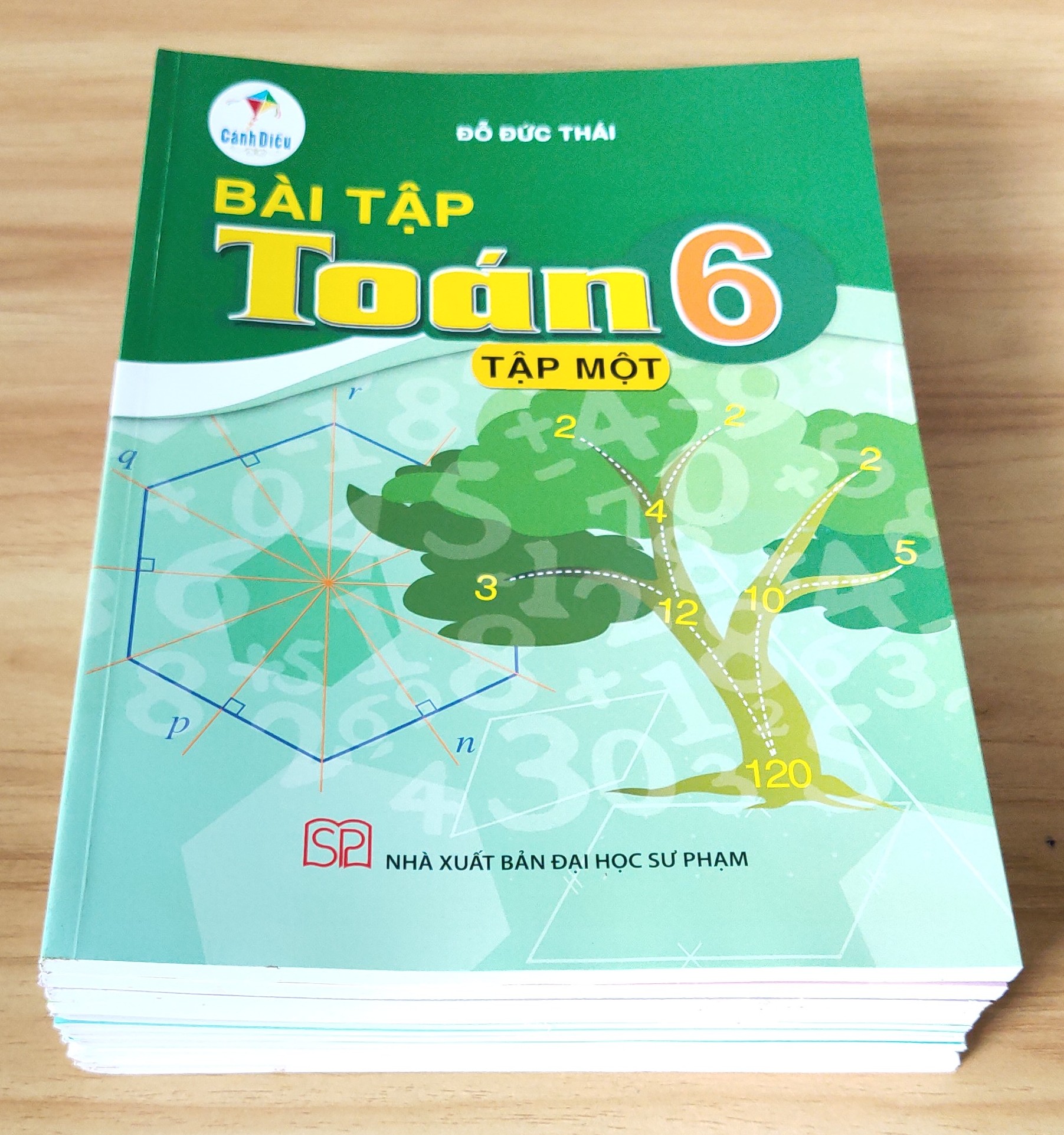 Bộ sách bài tập lớp 6 (Bộ Cánh Diều) 11 quyển