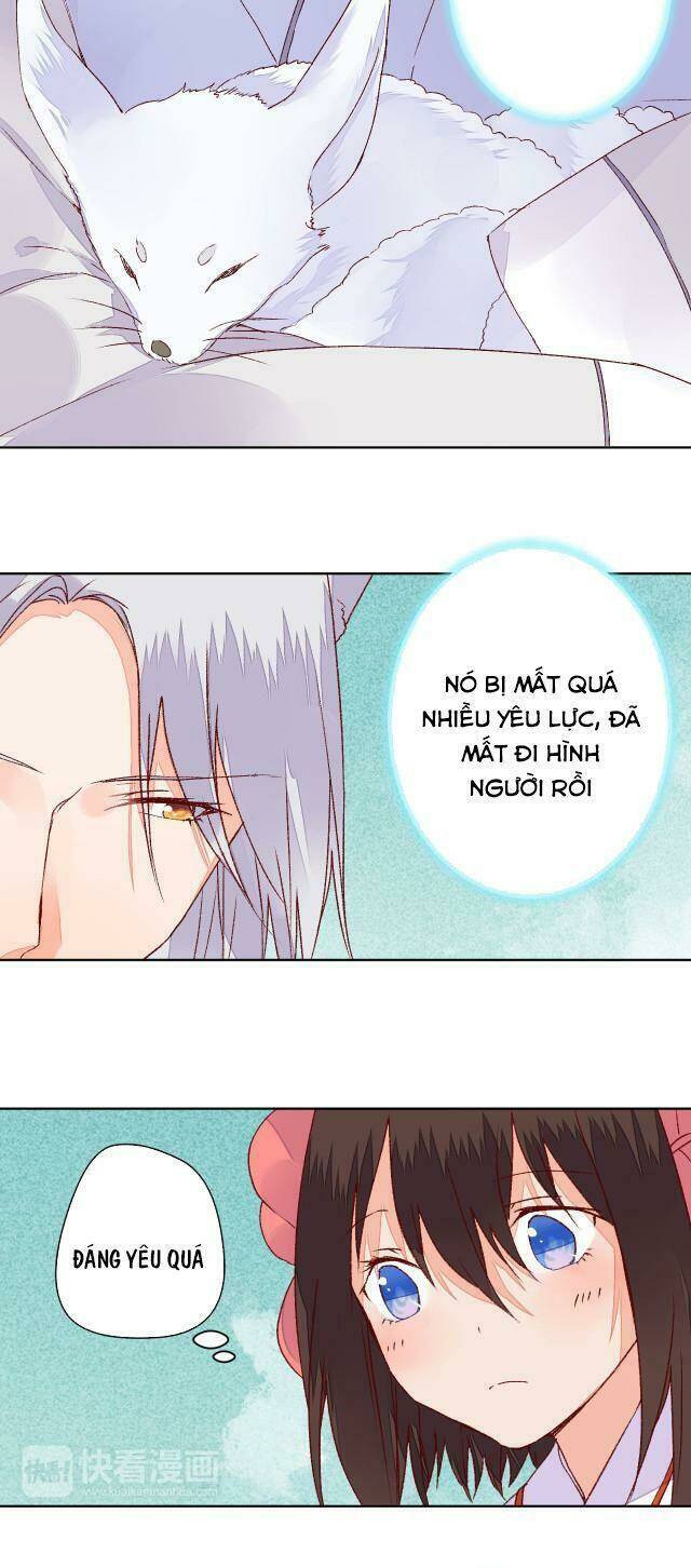 đốt đào hoa chapter 62 10