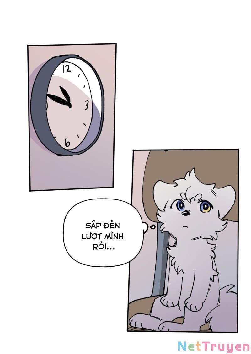 lumine - cội nguồn ánh sáng chapter 113 10