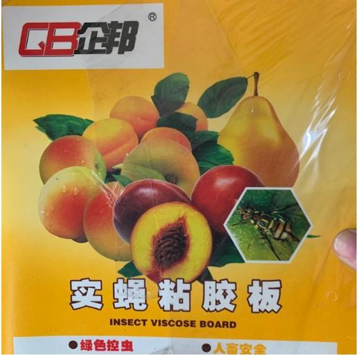 SET 10 BẪY DÍNH RUỒI VÀNG