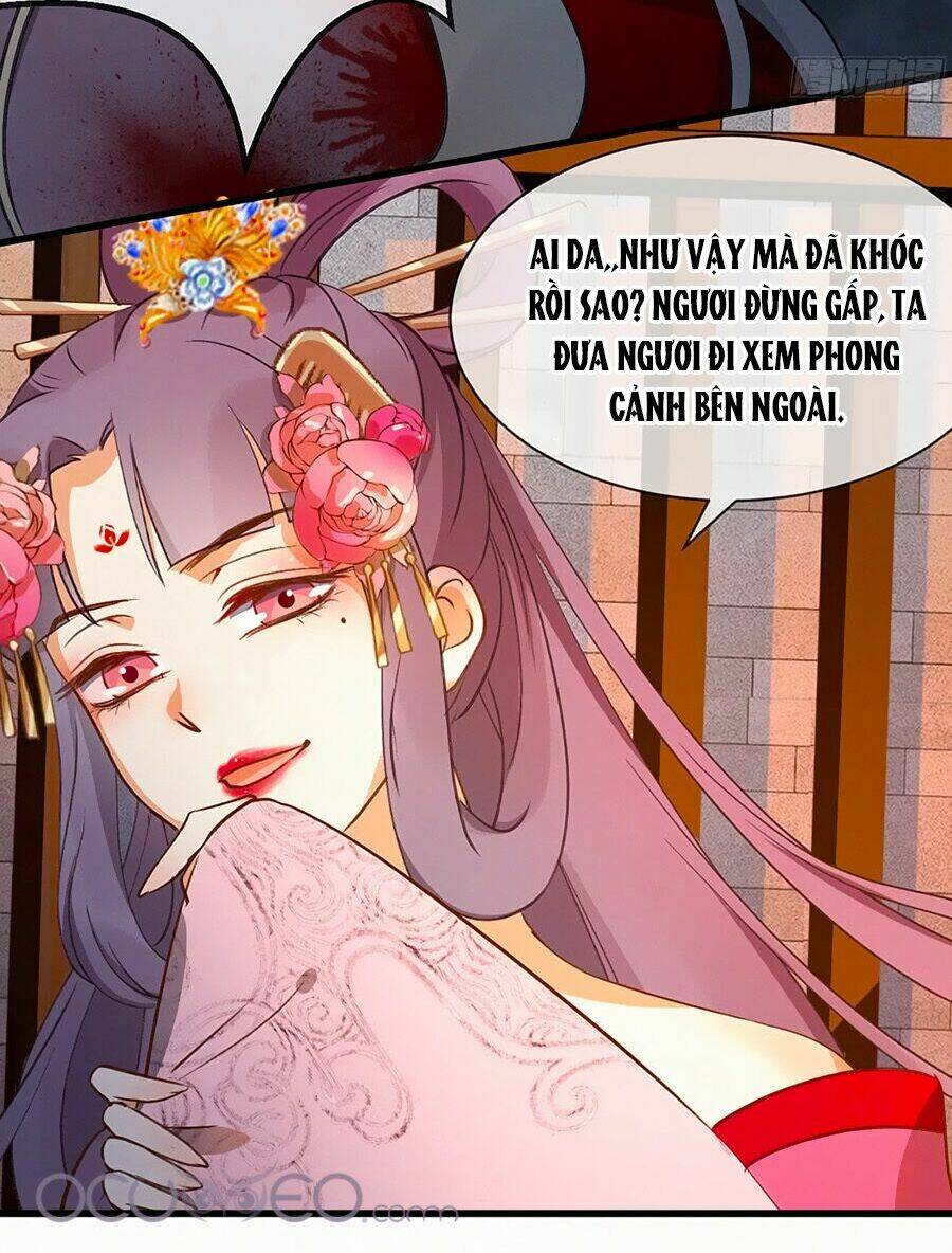 ngự thú linh phi chapter 1 12