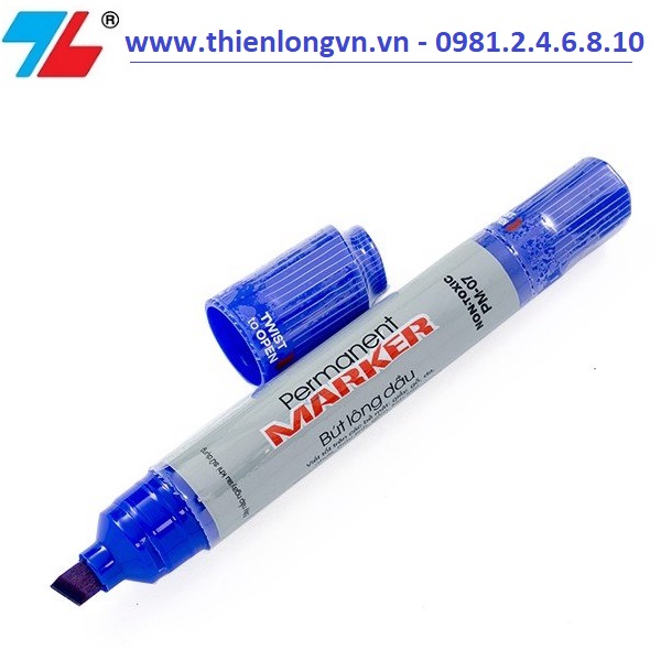 Hộp 10 cây bút lông dầu 2 đầu Thiên Long; PM-07 xanh