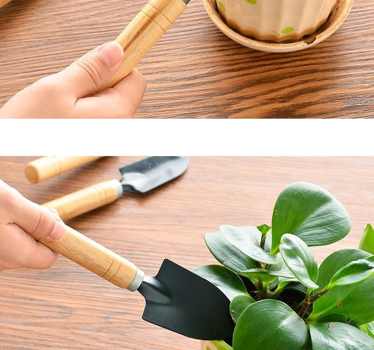 Dụng Cụ Làm Vườn Mini Trồng Hoa, Sen Đá, Xương Rồng - Bộ 3 Món Size Trung và Mini, Cán Gỗ Nhỏ Gọn Cho Gia Đình