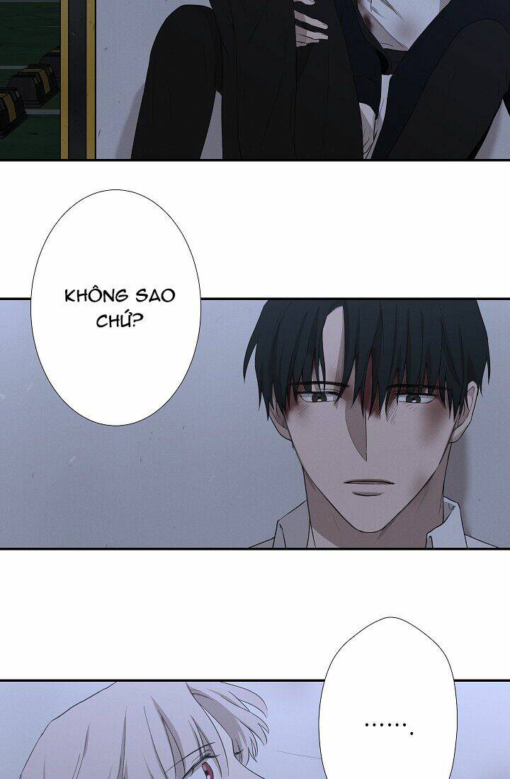 trốn tìm chapter 33 28