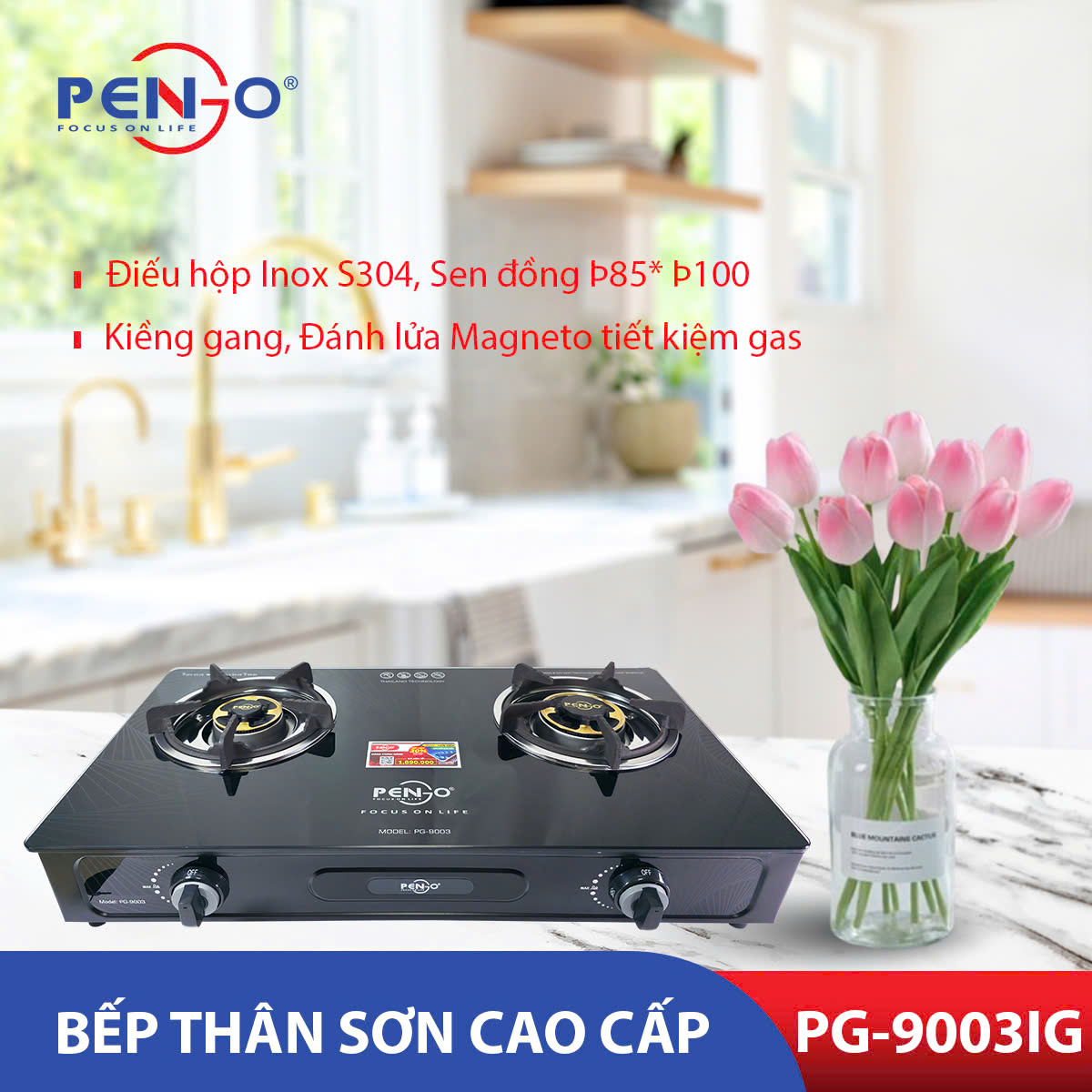 Bếp ga đôi mặt kính Pengo PG-9003 IG( Hàng chính hãng)
