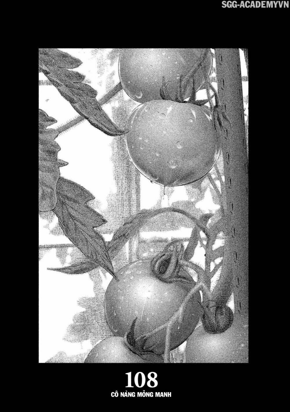 đạo luật nhiều vợ chapter 108 8