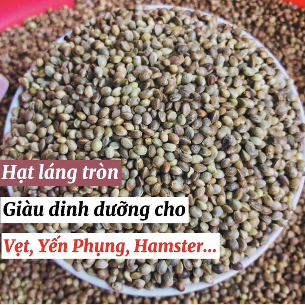 Hạt láng tròn, thức ăn yêu thích cho vẹt, hamster, sóc bông