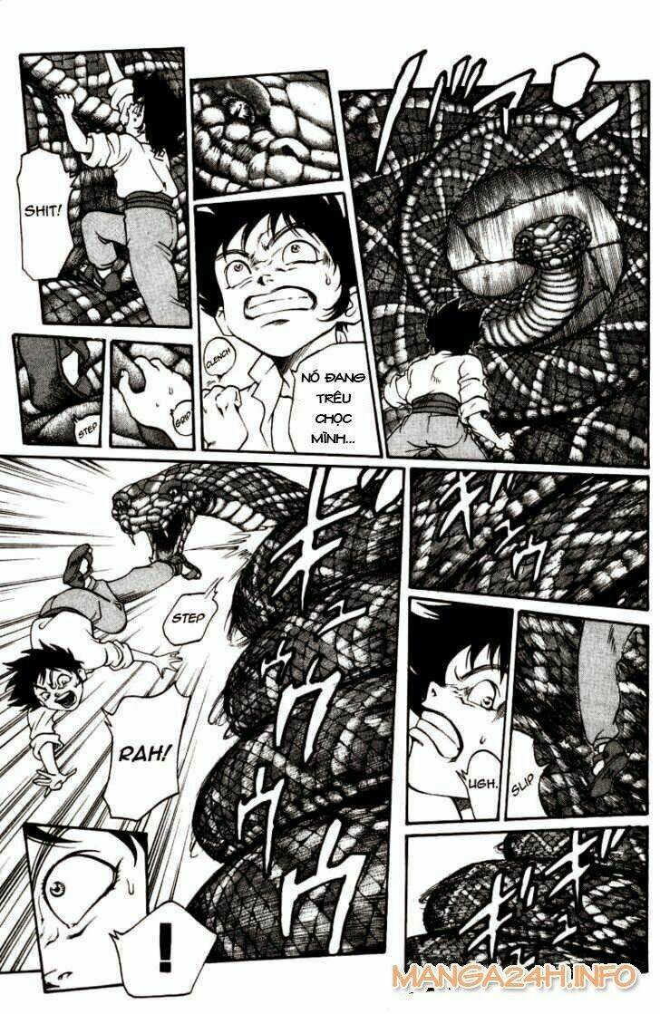 vua trên biển chapter 33 8