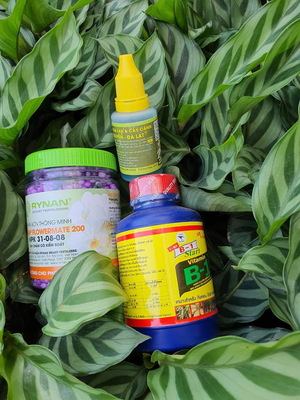 Bộ sản phẩm giúp phòng trừ nấm, phát triển Hoa Lan, Cây Cảnh
