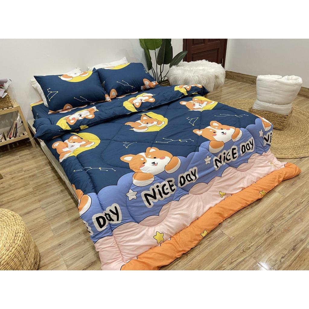 Sét chăn ga bọc đệm cottong poly 5 món nhiều kích thước