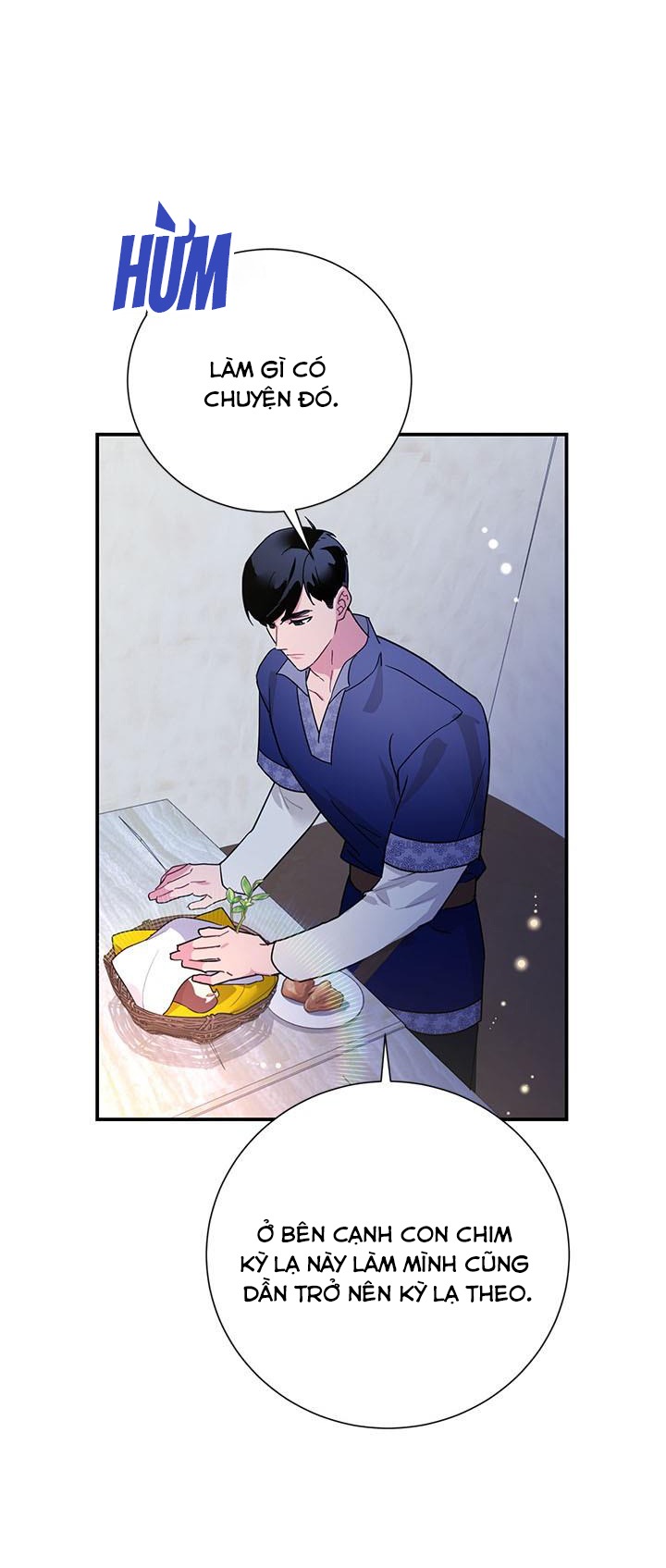 công chúa của loài chim chapter 43 47