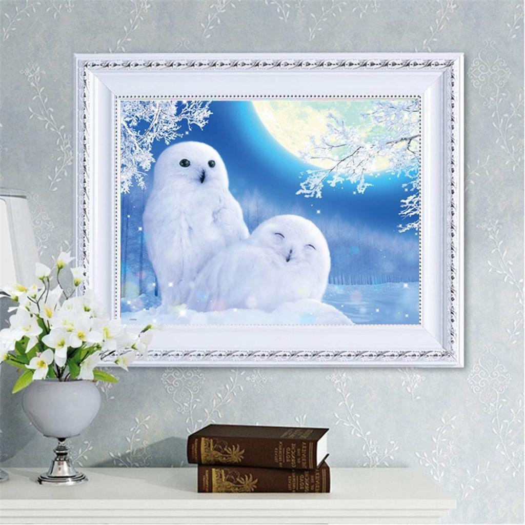 5D Full Drill Diamond Painting Kit, Diamond Rhinestone Painting Kits for Adults Beginner Embroidery Arts Craft Home Decor