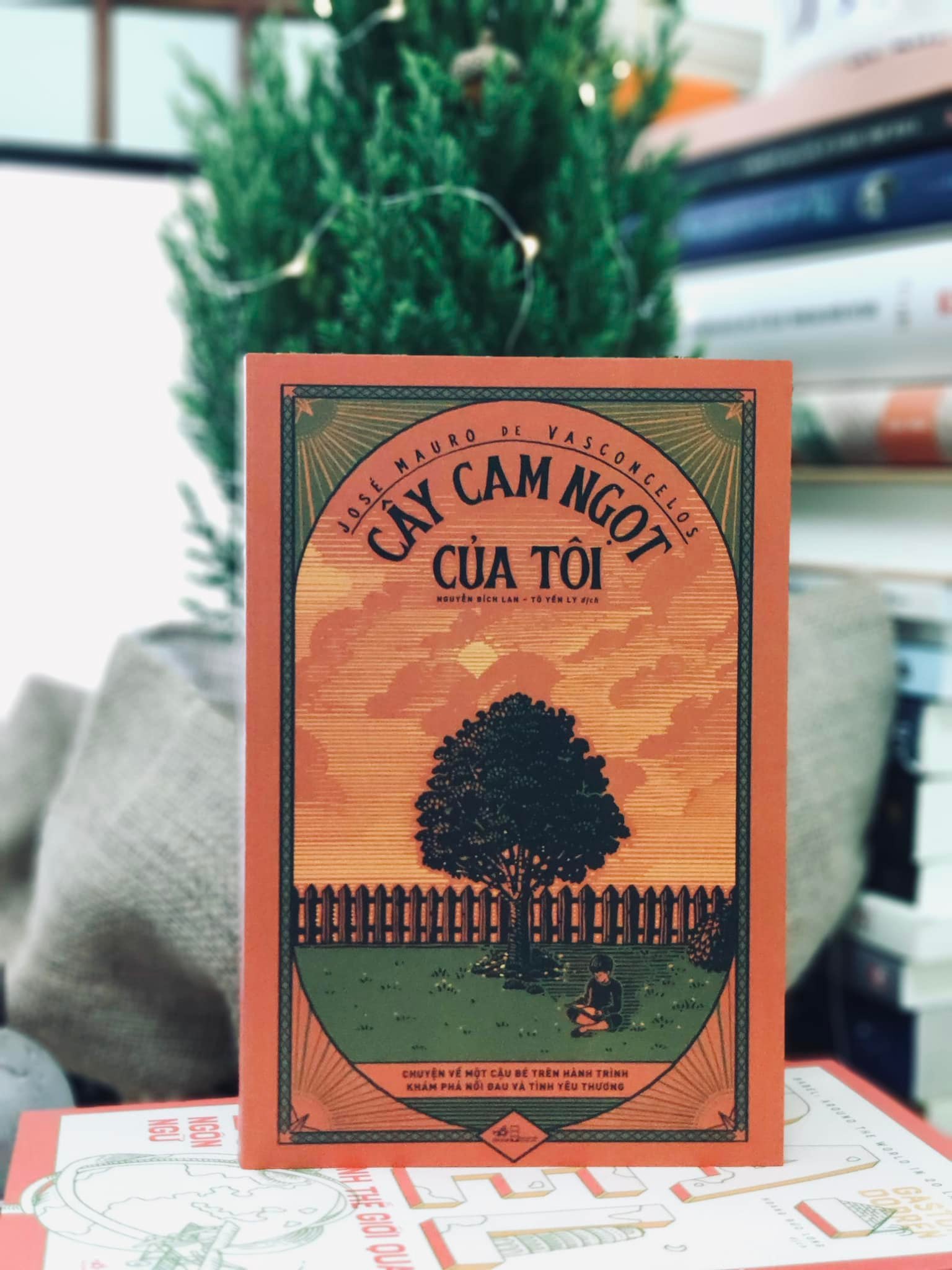 Sách Cây Cam Ngọt Của Tôi - Chang Book