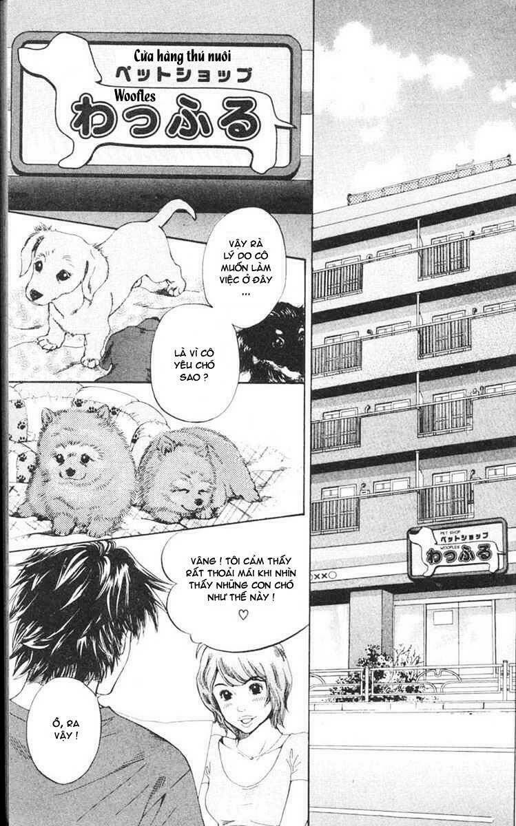cô nàng yêu chó chapter 1 7