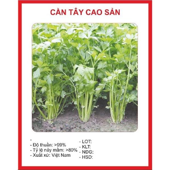 Combo 3 gói Hạt giống rau cần tây xanh dể trồng f1-gói 2 gram-tặng kèm 1 gói phân bón