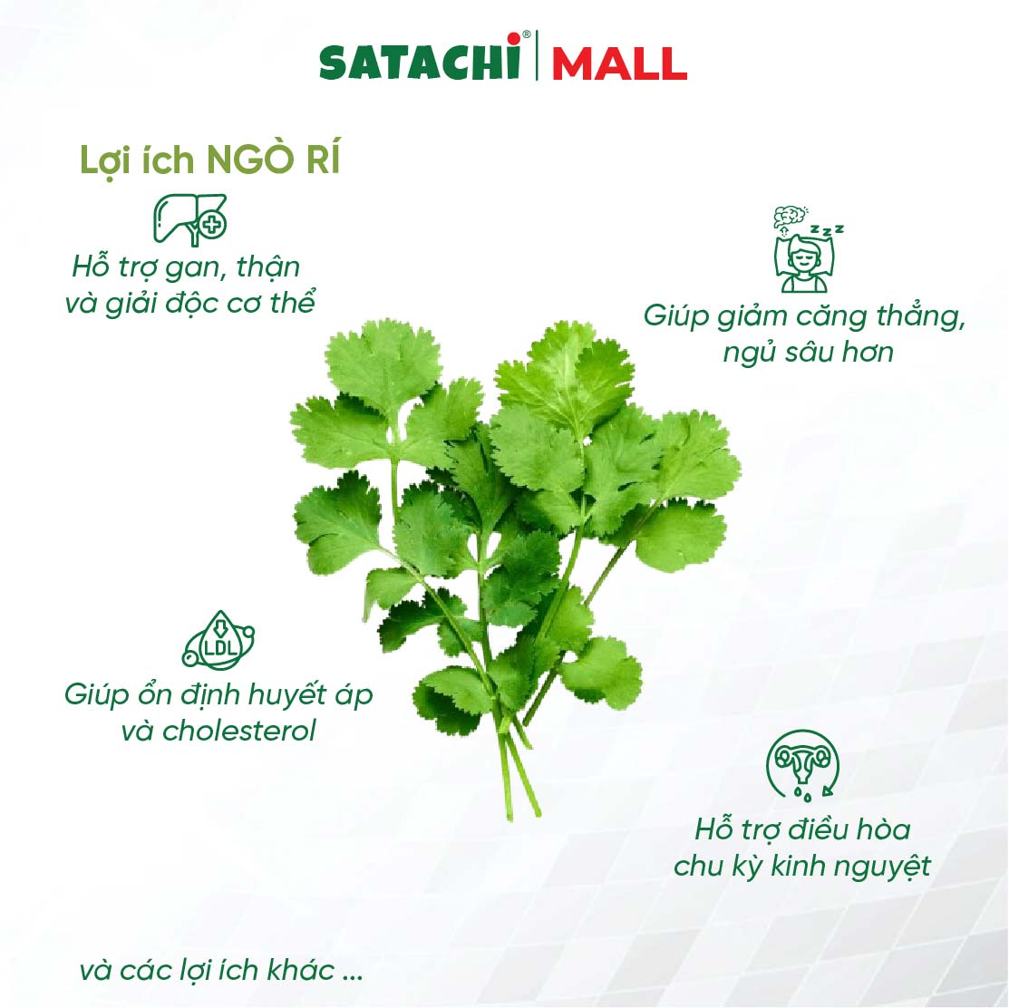 Bột Ngò Rí Nguyên Chất SATACHI – 100% ngò rí tươi, không đường – Hộp 86g