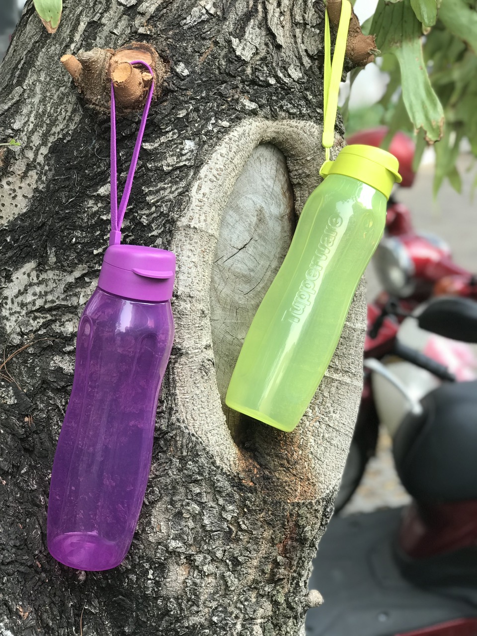 Bình nước Eco Bottle Gen II 1L