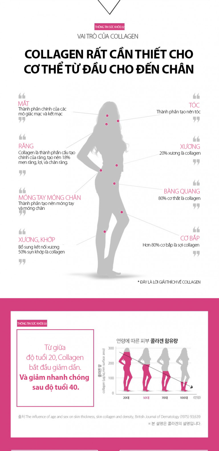 BEAUTY FOOD - FISHCOLLAGEN CAO CẤP TỪ HÀN QUỐC