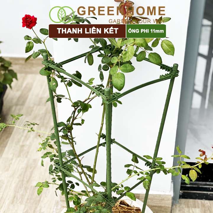 Thanh liên kết ống phi 11mm, Nhật Bản, Daim, hỗ trợ làm khung, giàn cây leo, dễ lắp ráp |Greenhome