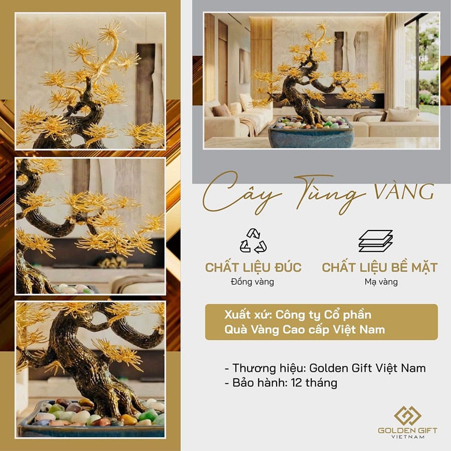 Cây Tùng La Hán mạ vàng