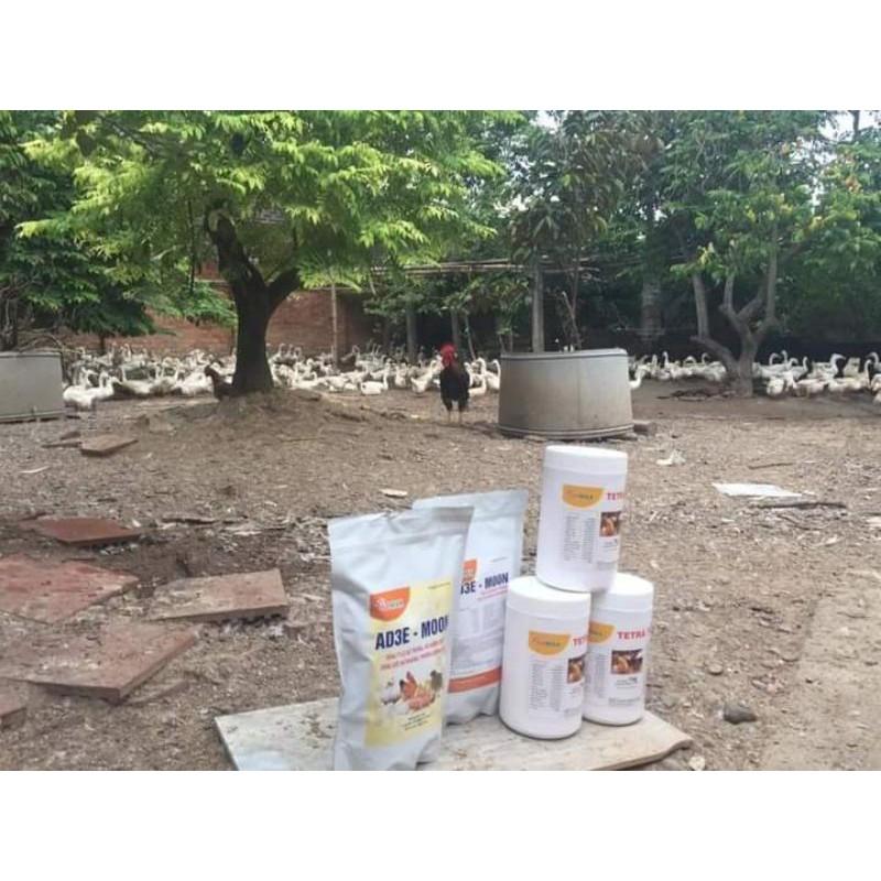 KÍCH TRỨNG- tetra trứng1KG/gói