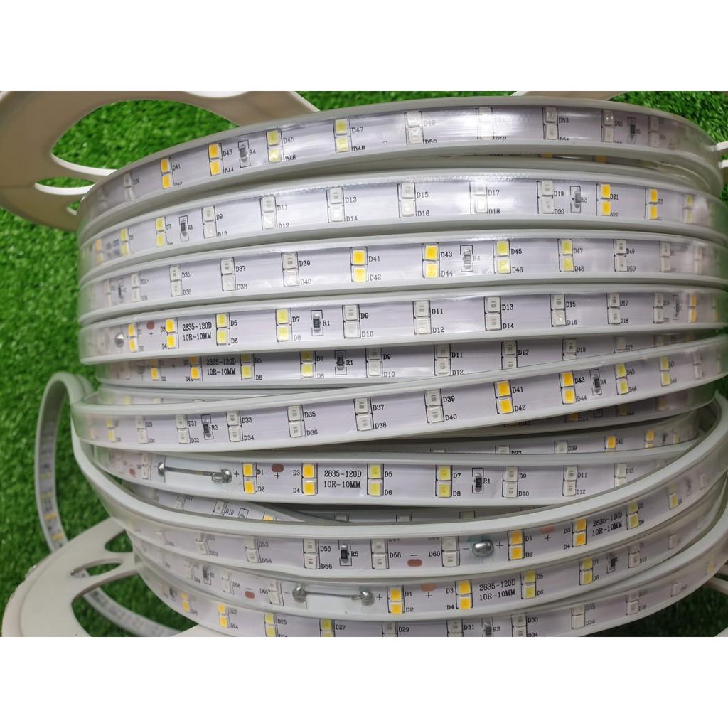 Cuộn LED dây đôi 2835 - 100m - hắt trần thạch cao , trang trí nội ngoại thất, quấn cây ngoài