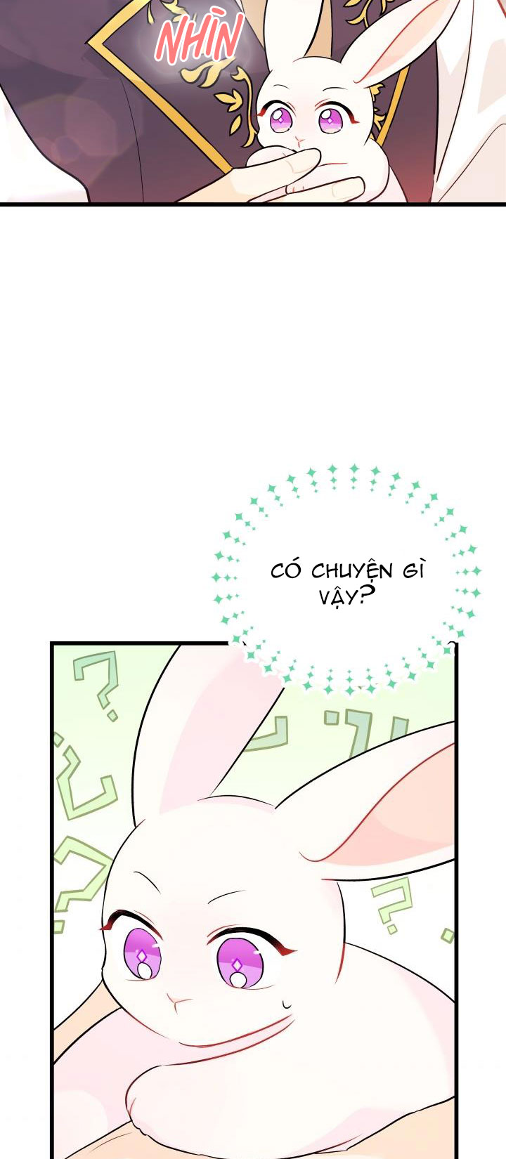 mối liên kết giữa báo đen và bé thỏ chapter 32 41