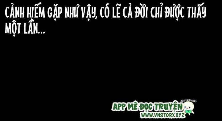 U Minh Ngụy Tượng Chapter 207 77