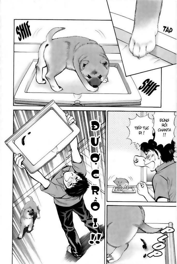 cô nàng yêu chó chapter 21 6