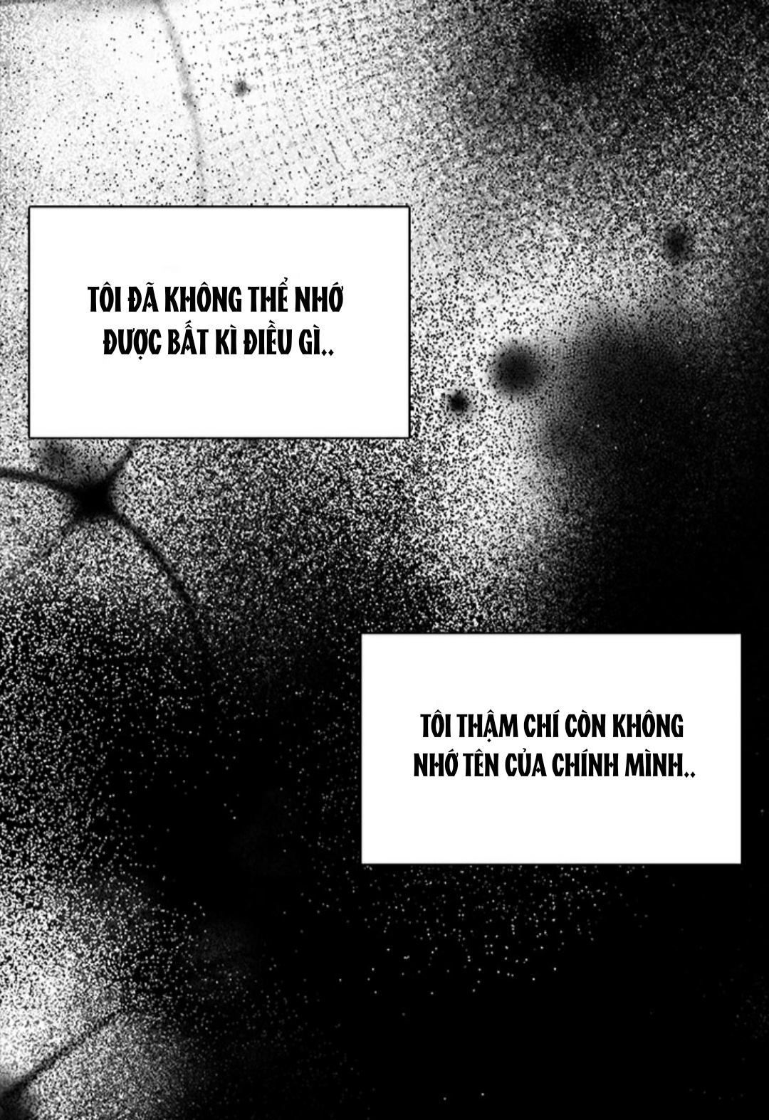 chị tôi đã nhặt về một nam chính quyến rũ chapter 16 51