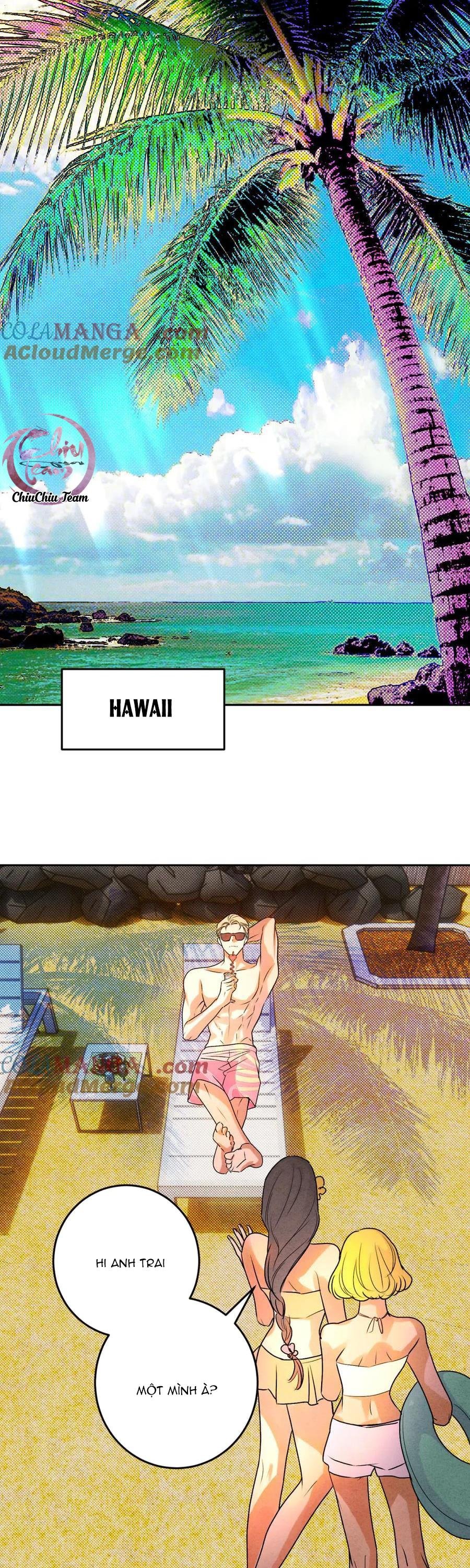 anh trai rẻ tiền của tôi chapter 65.1 1