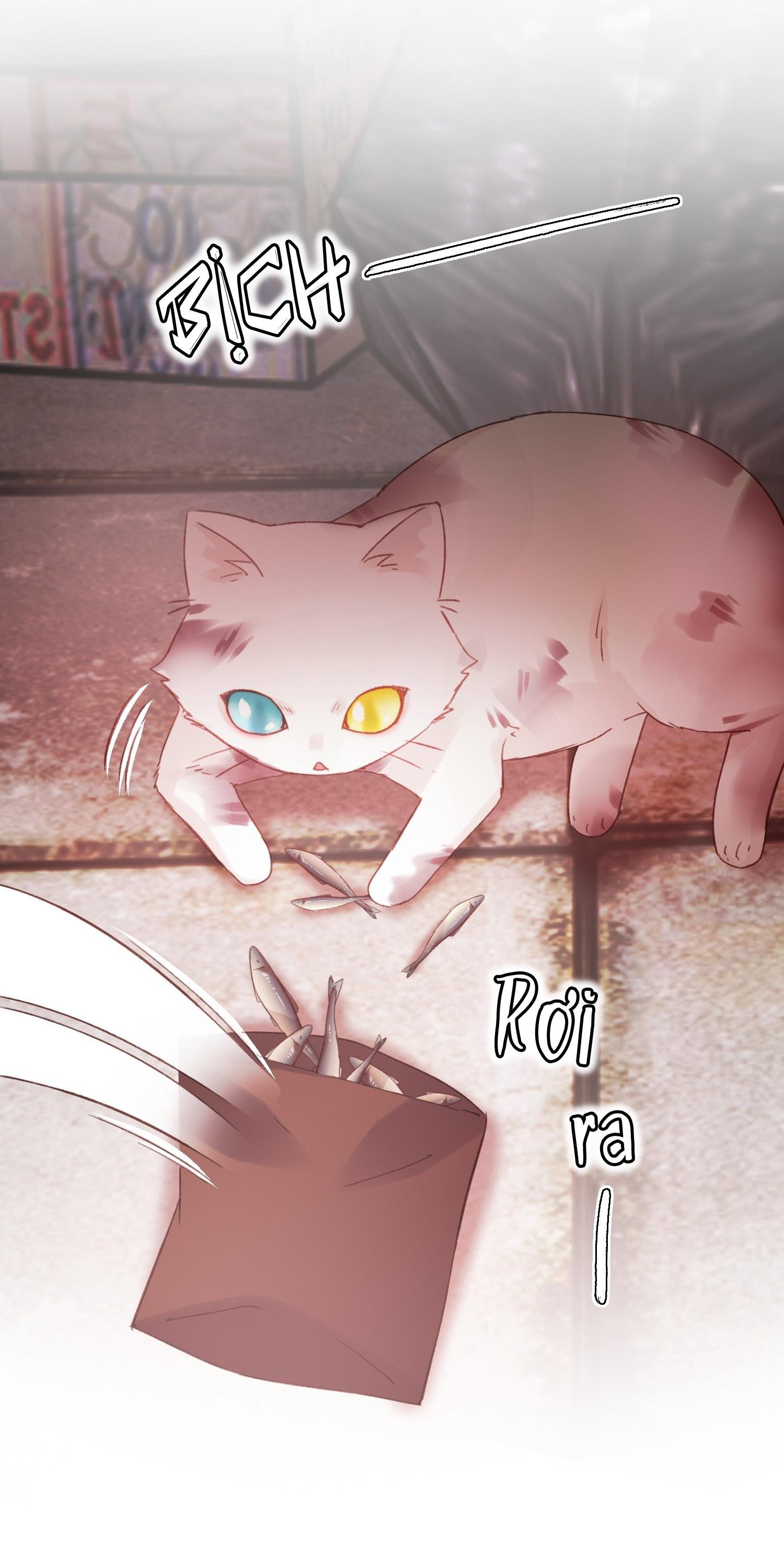 tôi phải trở thành nhân vật đại phản diện chapter 65 6