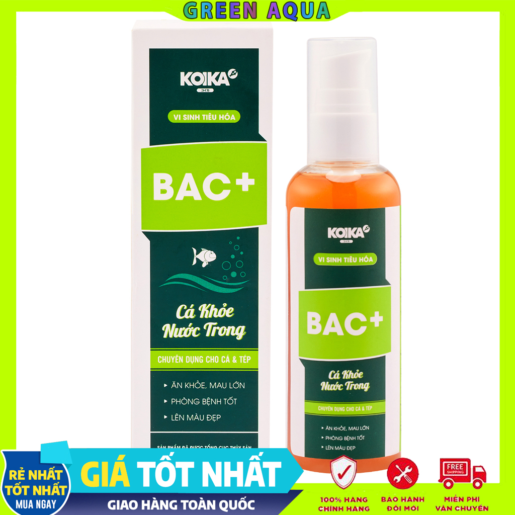 KOIKA - BAC+ | Men vi sinh hỗ trợ tiêu hóa cho cá cảnh thủy sinh