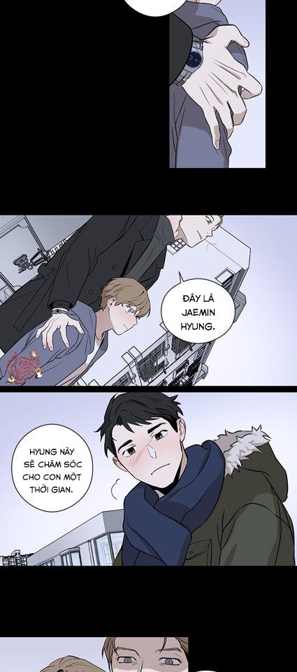 loài chim không bay chapter 1 28