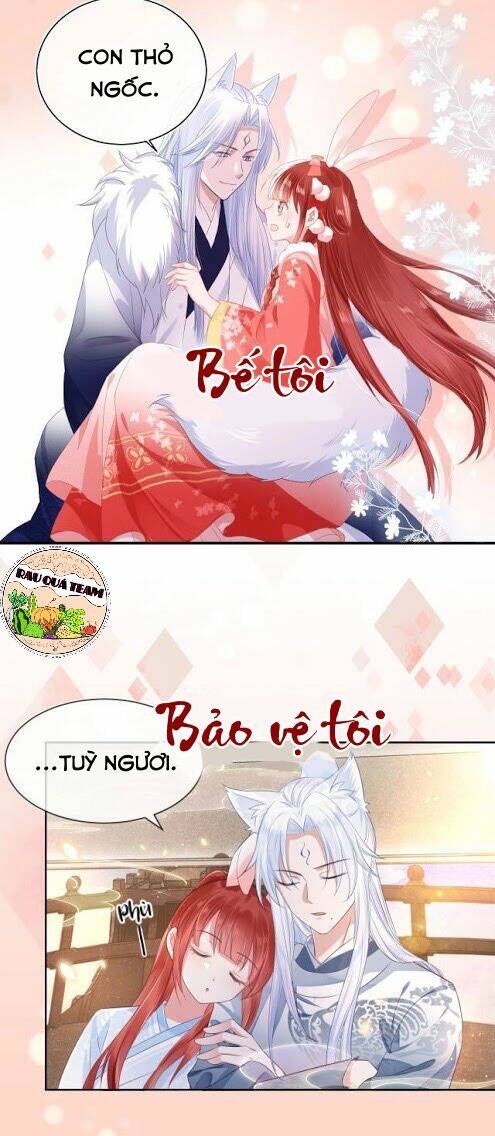 hắc hóa nam chính trực tuyến nuôi thỏ chapter 1 17