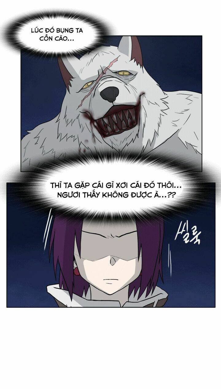 m. m. g. chapter 11 19