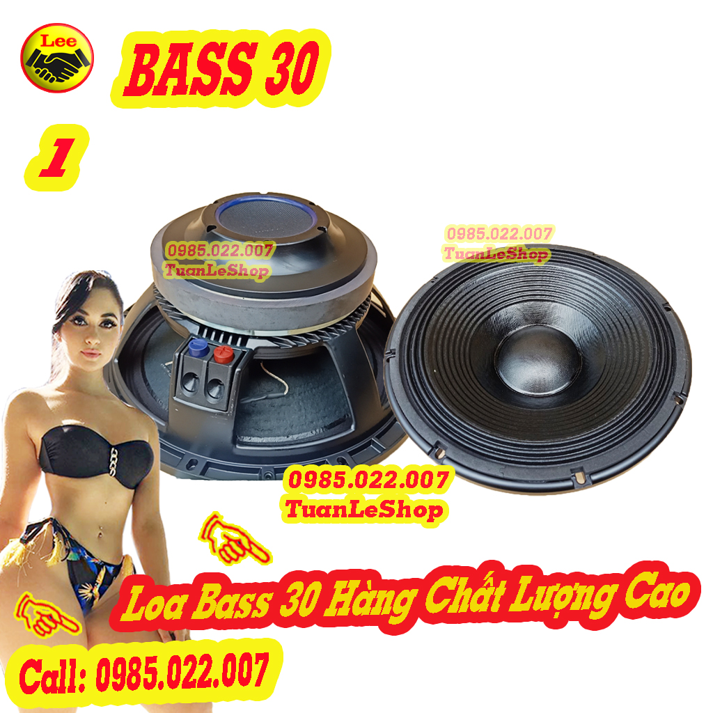 1 CỦ BASS 30 CÔN 75 NHẬP KHẨU - GIÁ 01 CHIẾC - TỪ 190 COIL 75MM - CỦ LOA 3 TẤC - Đít Lồi