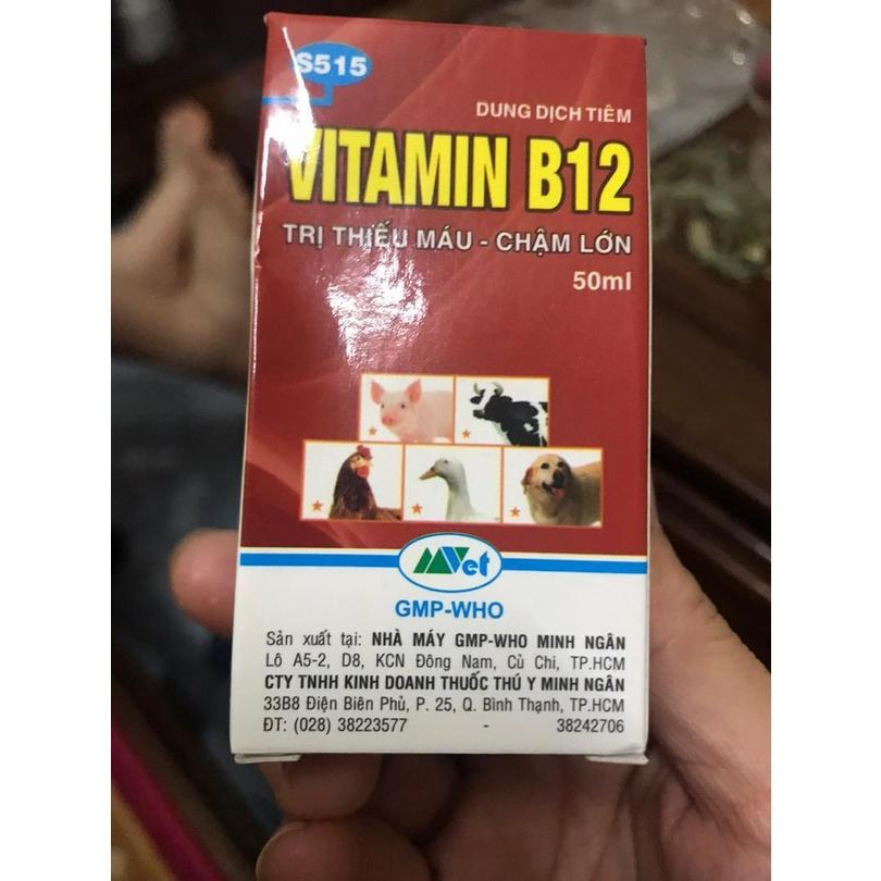 VITAMIN B12 LỌ 50ML CHUYÊN DÙNG CHO LAN - GIÚP TRỪ NẤM BỆNH CHO CÂY SAU MỘT THỜI GIAN MƯA DÀI