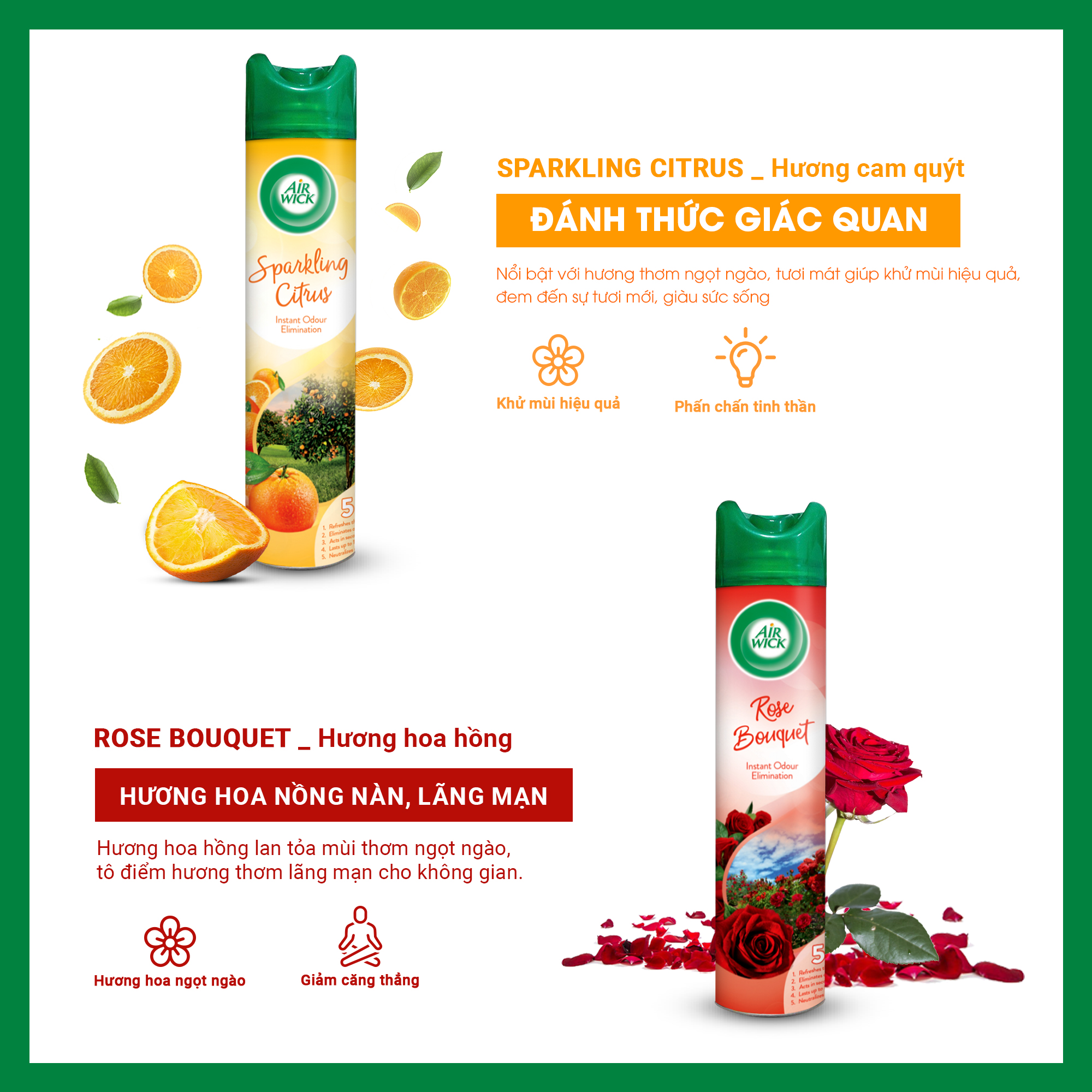 Combo 2 chai xịt thơm phòng, Air Wick, hương Cam Quýt &amp; Hoa Hồng, 300ml/chai