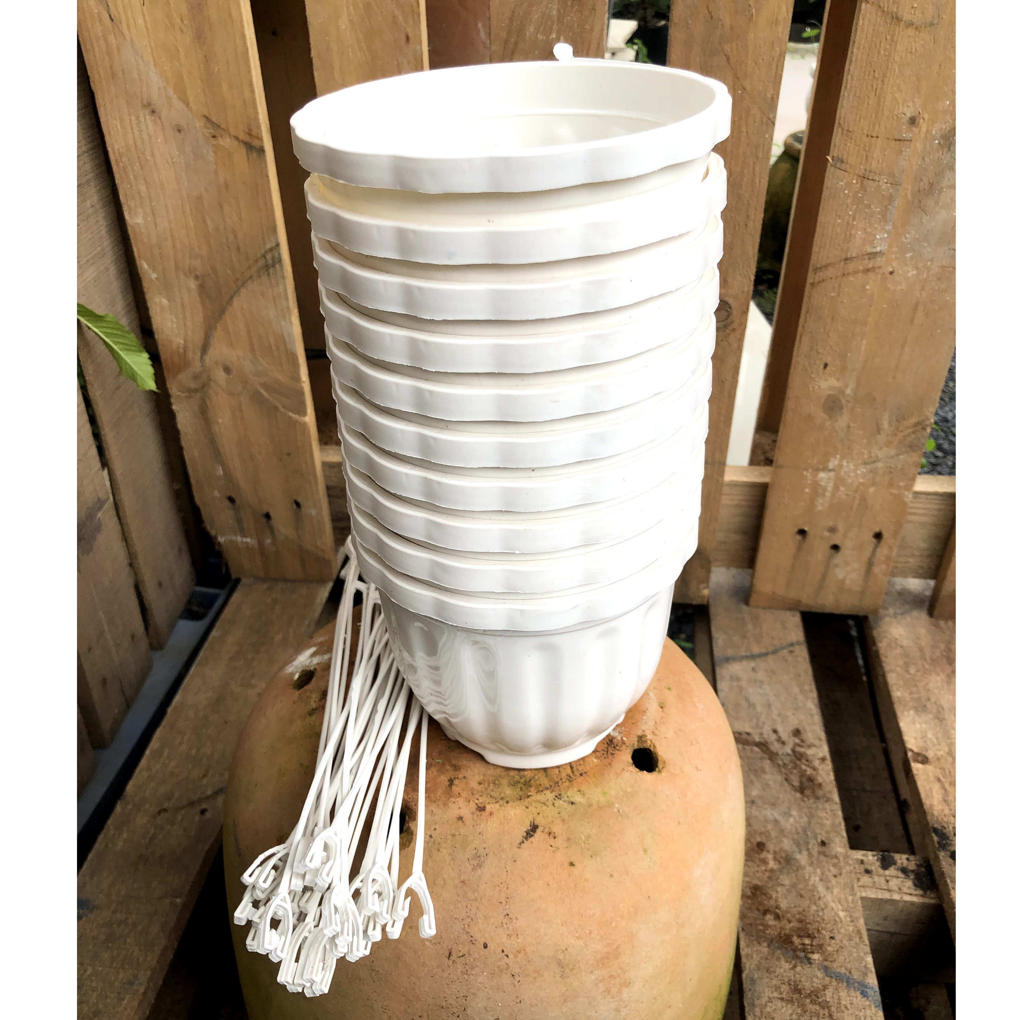 Bộ 10 chậu trồng cây kích thước fi 14 x 14 cm