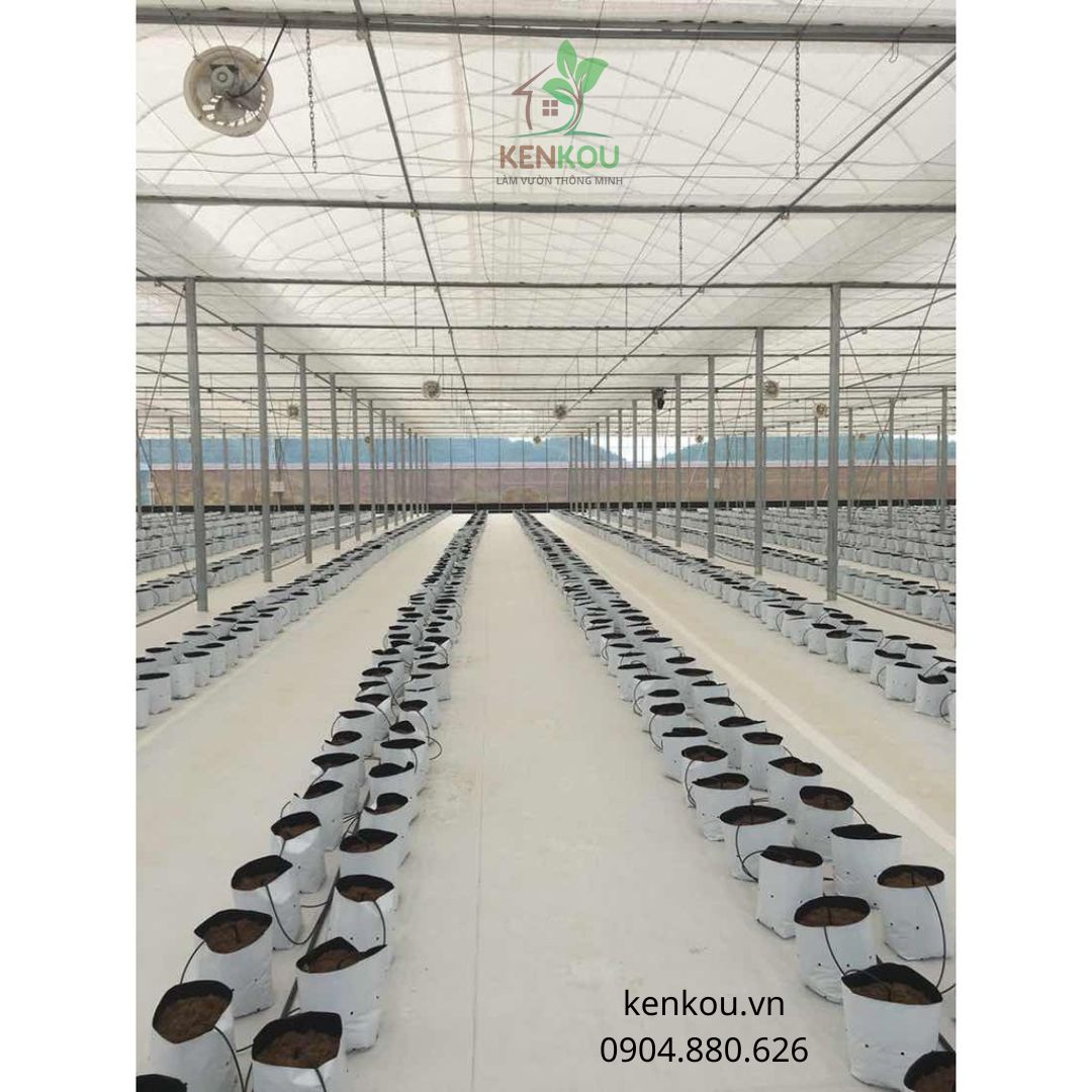 Lưới che nắng khổ 2m x dài 50m mầu trắng Hàng Chính Hãng Nhật Bản giảm nóng nhà kính trồng rau, trồng hoa nông nghiệp công nghệ cao