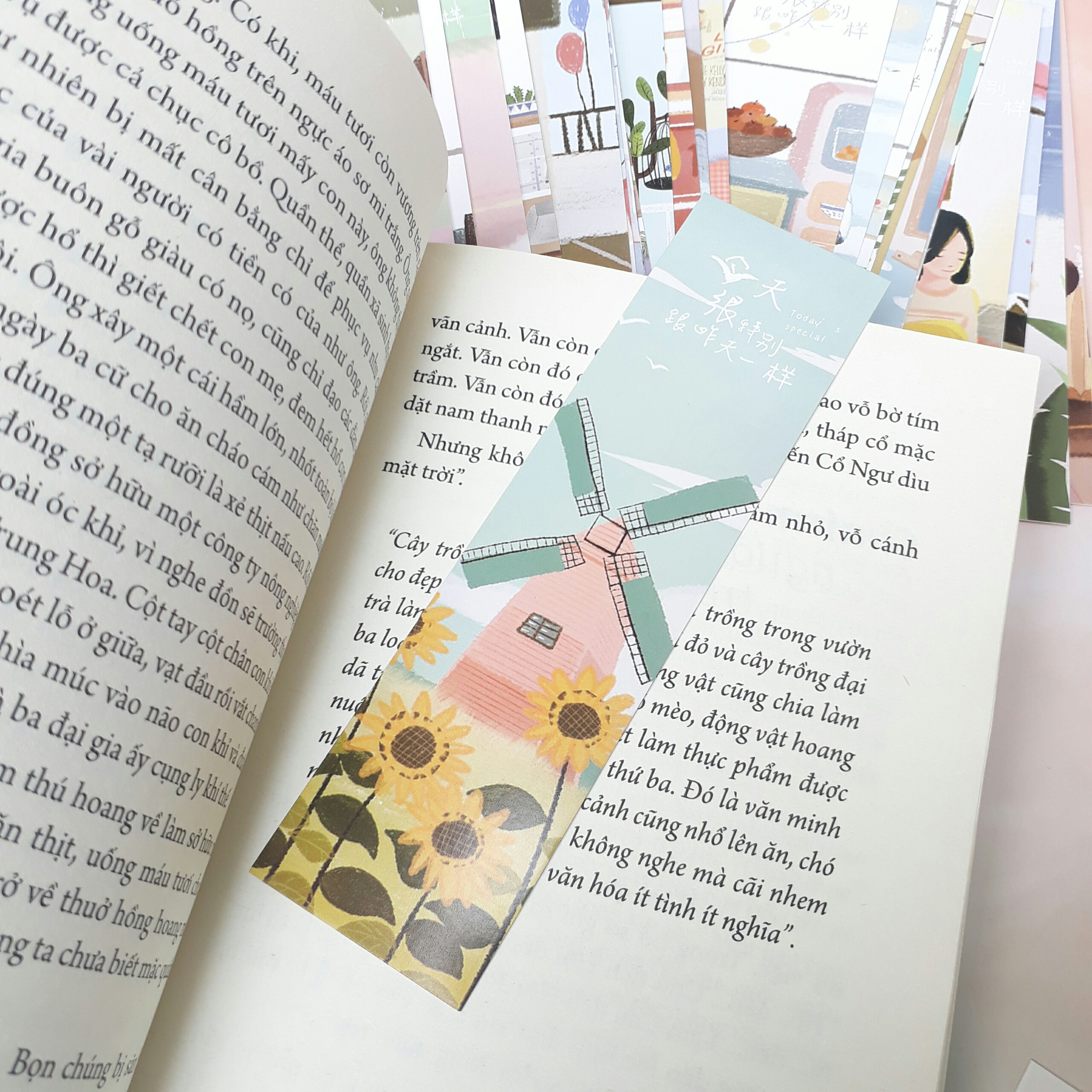 Bộ 30 Bookmark Đánh Dấu Sách Today Is Special