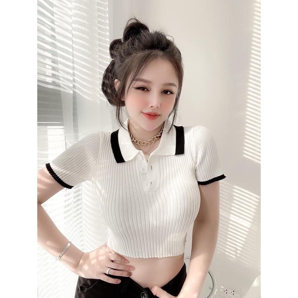 [L2M] Áo len Montoghi dệt kim CROPTOP DÁNG ÔM 2 MÀU cổ bẻ phối viền phối nút xinh xắn