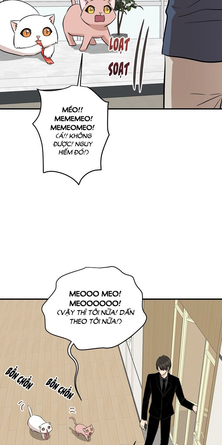 cuộc sống kỳ thú chapter 44 53