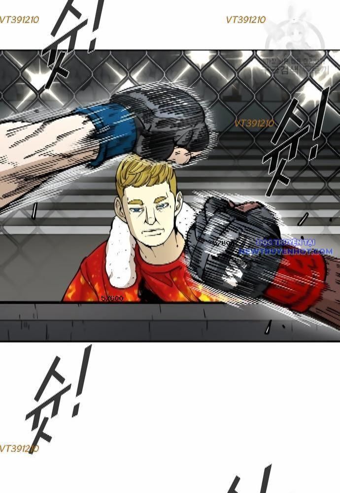 shark - cá mập chapter 260 13