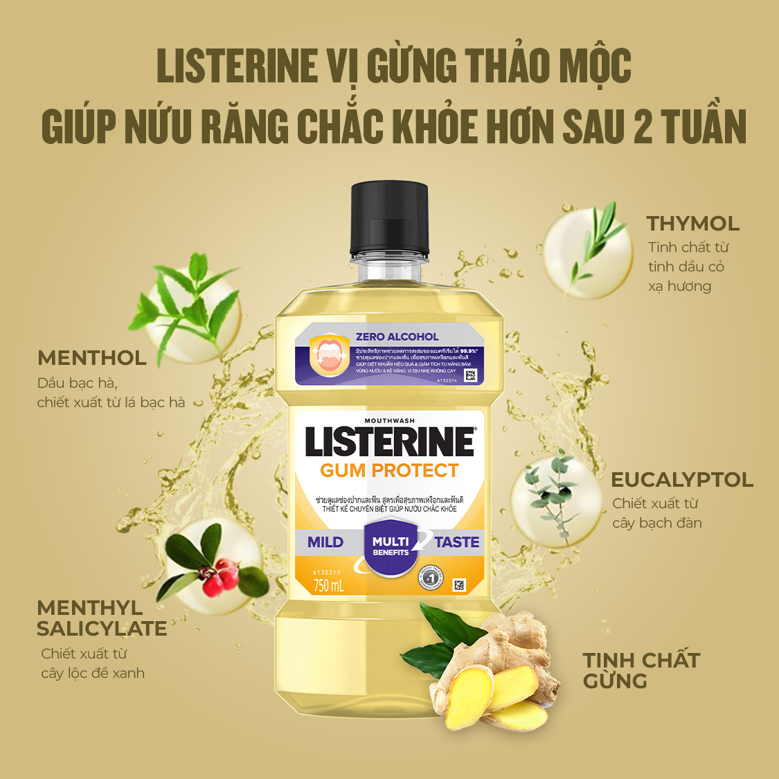 Bộ 2 Chai Nước súc miệng giúp nướu chắc khỏe Listerine Gum Care 750ml/chai 101109930