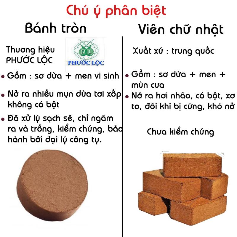 Viên nén hữu cơ mụn sơ dừa bánh lớn tiệt trùng dùng làm giá thể ươm mầm, trộn vào chất trồng bonsai mini