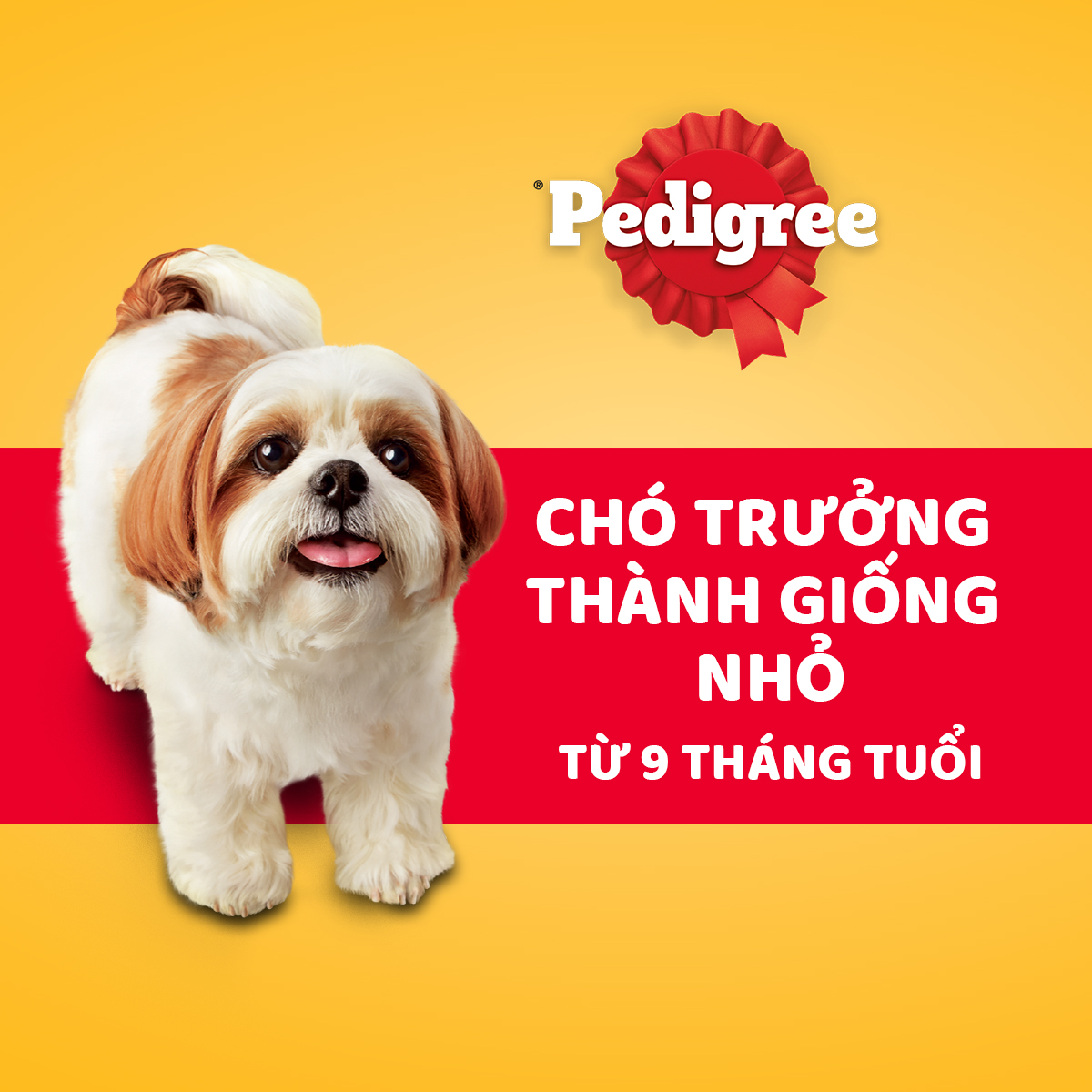 Thức ăn chó Mini Pedigree vị gà, gan & rau củ 1.3kg